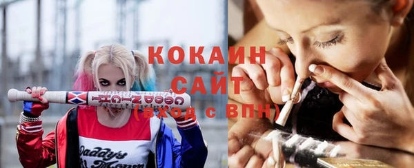 скорость Ельня