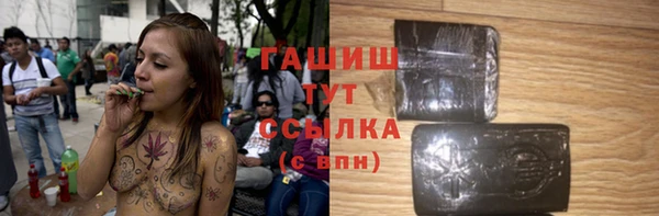 скорость Ельня