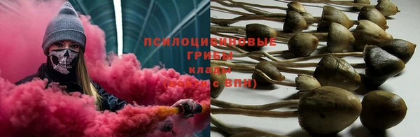 тгк Елабуга