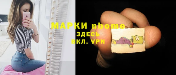скорость Ельня