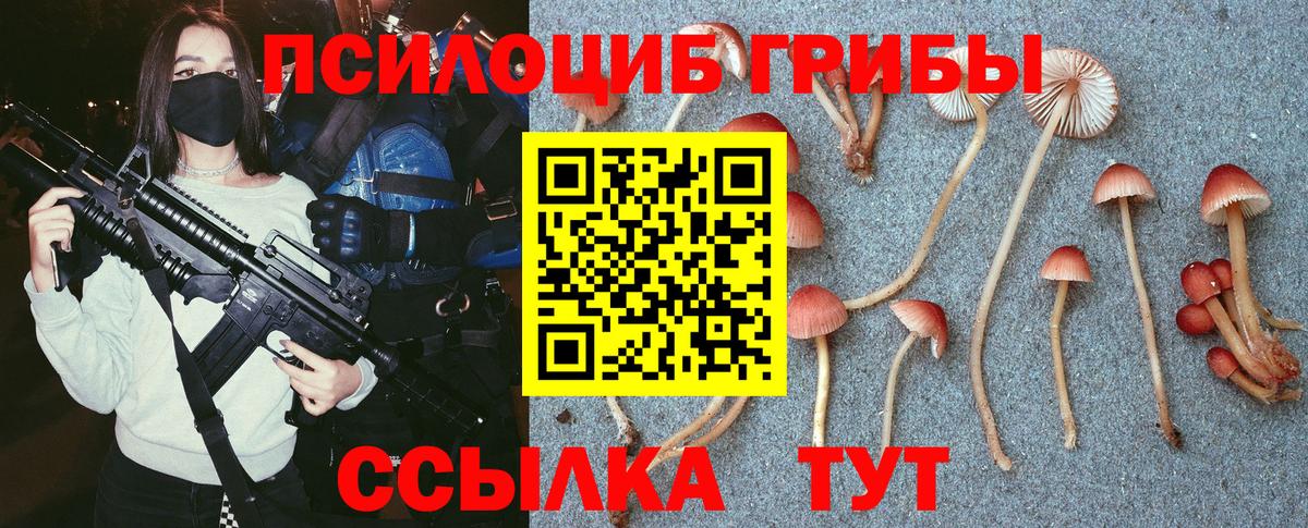 Галлюциногенные грибы Magic Shrooms  Вход с VPN  Шадринск 