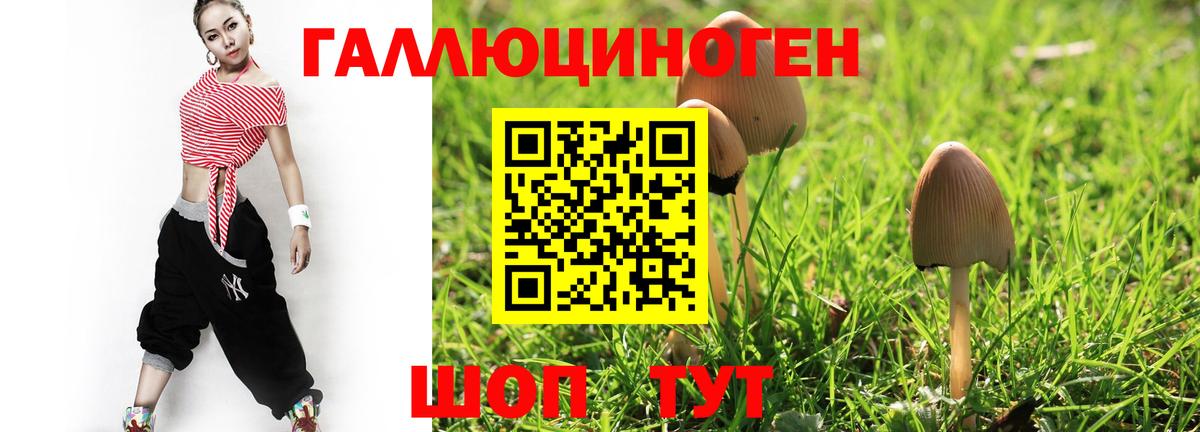 Галлюциногенные грибы Cubensis Шадринск